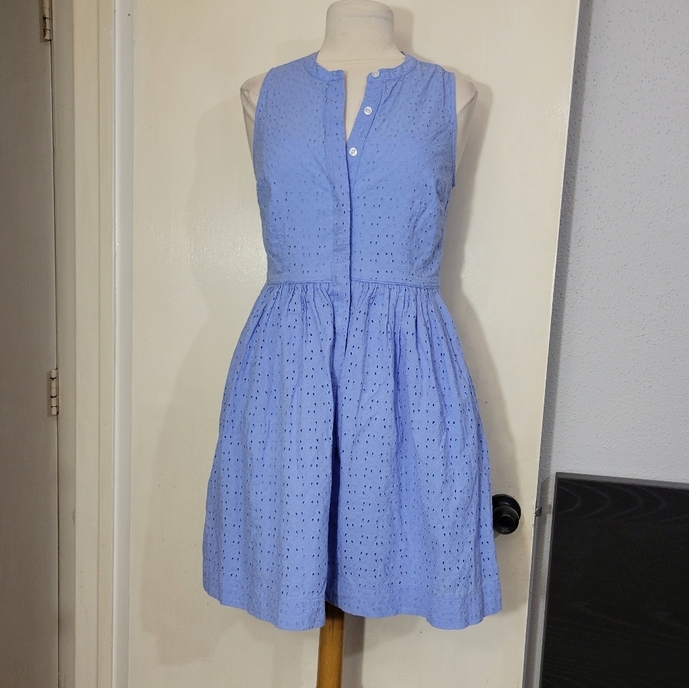 J. Crew dress